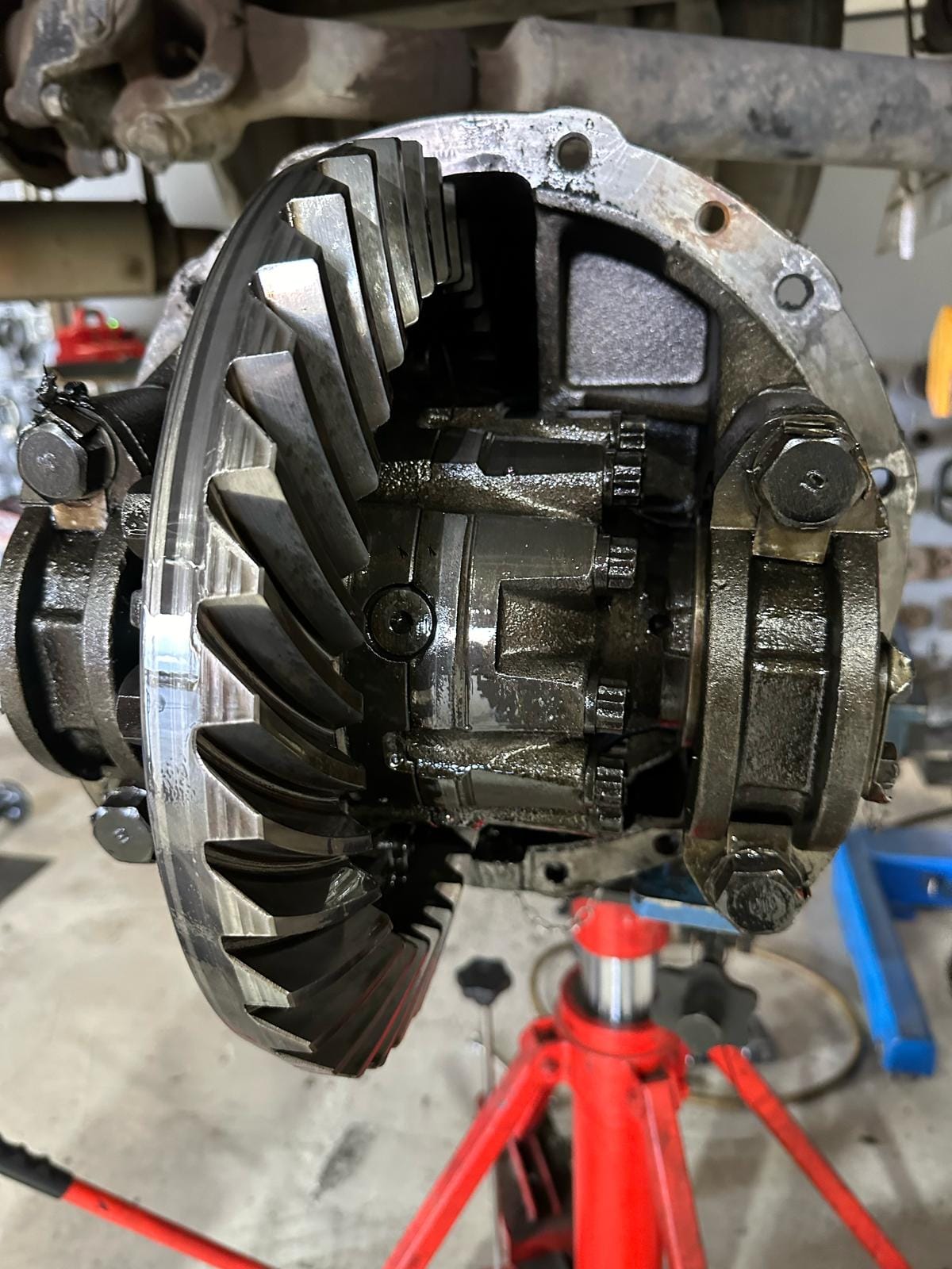 WhatsApp Image 2025-07-17 at 3.53.11 PM (1)